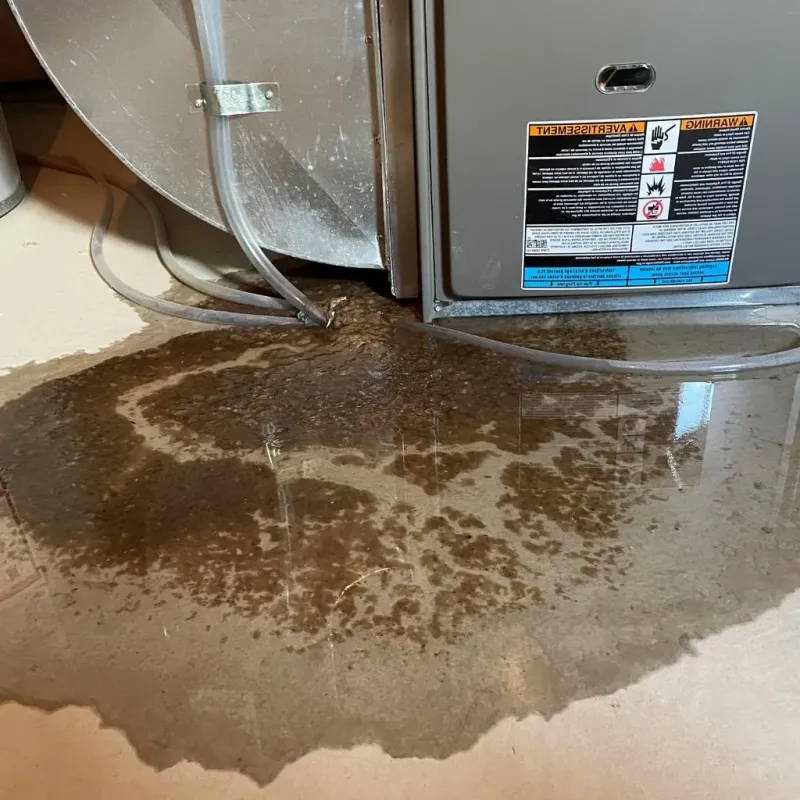Pipe Burst and Leak Restoration in Star Valley Ranch, WY
